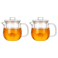 로체스터 내열유리 거름망 티포트, 투명, 2개, 650ml