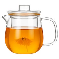 로체스터 내열유리 거름망 티포트, 투명, 1개, 650ml 투명, 1개, 650ml