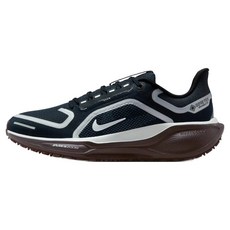 NIKE 耐吉 女款 AIR ZM PEGASUS 41 GTX 運動鞋 FQ1357401