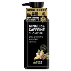 In Nature 自然匯 薑萃咖啡因強韌洗髮露, 1個, 300ml
