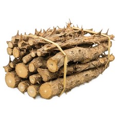 숲애 가시 엄나무, 1개, 400g