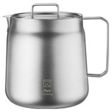 WAGENSTEIGER 無研磨劑 不鏽鋼304 IH水壺 純淨拋光, 單一顏色, 1個, 2L