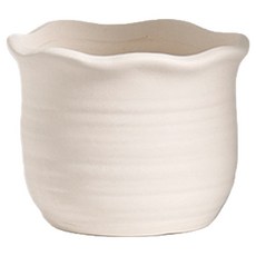 Monologes 陶瓷裝飾品 家居室內裝飾 多肉花盆 D型, 象牙白, 1個