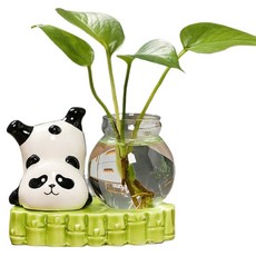 Eunhee魔法 高級設計花瓶 熊貓款式6, 混合顏色