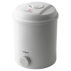 웰포트 올스텐 티타늄 가열식 가습기 4.3L, 화이트, ST100