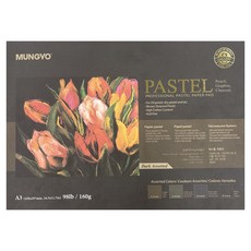 문교 파스텔 전용지 다크색 4종 세트, A3, 20매, 1세트