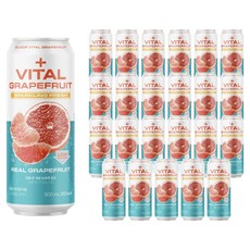 클룹 제로슈거 바이탈자몽 스파클링 프레시, 500ml, 24개