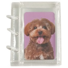 아크릴 포토카드 보관함, 투명, 20매