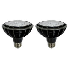 JangsuLamp Blooming LED PAR30 15W 聚光型燈泡 燈具 黑色, 2個, 正白光