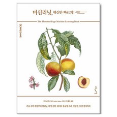 머신러닝 핵심만 빠르게!, 인사이트, 안드리 부르코프