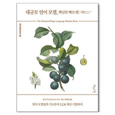 대규모 언어 모델 핵심만 빠르게!, 인사이트, 안드리 부르코프