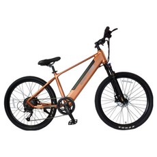이지라이드 36V 350W 16.7Ah 전기자전거 EN-26 고객직접설치, 알루미늄, 카퍼