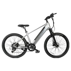 이지라이드 36V 350W 16.7Ah 전기자전거 EN-26 고객직접설치, 알루미늄, 실버