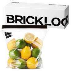 브릭글로 브릭락 두꺼운 스탠딩 더블 냉장 냉동 겸용 지퍼백, 대(L), 1개, 40개입