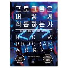 프로그램은 어떻게 작동하는가, 보누스, 야자와 히사오