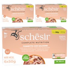 스케지어 어덜트 고양이 주식캔 50g 6p, 연어+참치, 300g, 3개