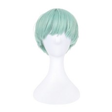 B.ABO K-POP 男子偶像角色扮演假髮 26cm, 薄荷寶貝, 1個