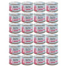 캣츠테이스트 3개월 이상 고양이 퍼펙트 밸런스 주식캔, 참치, 85g, 24개