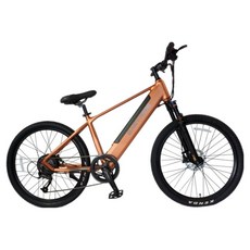 이지라이드 PRO 36V 350W 16.7Ah 전기자전거 EN-27.5 고객직접설치, 카퍼, 알루미늄
