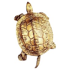 Nouvet 烏龜室內裝飾擺件 開業禮物 雕像, 金色