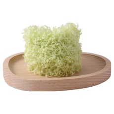 Misoroun 絨毛毛根鐵絲 20mm x 1m, 綠色, 1個