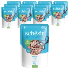 스케지어 어덜트 고양이 주식 파우치, 85g, 12개, 참치