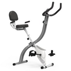 이고진 접이식 사이클, LPX1, 화이트