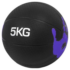 루아즈 크로스핏 헬스 홈트레이닝 메디신볼, 보라, 1개, 5kg