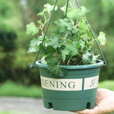 마샤투 원형 행잉 걸이식 플라스틱 분갈이 화분, 3개, 그린