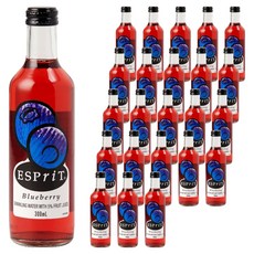 ESPriT 블루베리 소다 탄산음료, 300ml, 24개