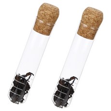 plala 透明玻璃泡茶器, 2個