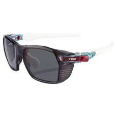 TAG eyewear 眼鏡 Raptor002 偏光鏡片 太陽眼鏡 RT2-G002-600, Neon 韓國, 1個