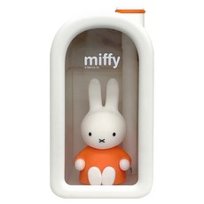 부이 미피 무드등 휴대용 탁상용 USB 저소음 미니 가습기, B5MP-10N, ORANGE