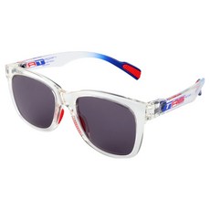 TAG eyewear InterAct 偏光鏡片 IA2-G013-600, 復古半透明光澤, 1個