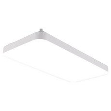 進步 三星晶片 LED Binnui 客廳燈 60W 無閃爍, 白色