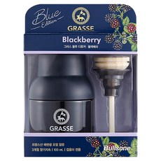 불스원 그라스 블루 디퓨저 100ml 본품, 블랙베리향, 1개