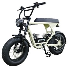 벤틀러스 XT16 48V 500W 20Ah 전기자전거 고객직접설치, 크림, 알루미늄