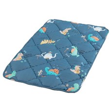 Annette 萊賽爾 睡墊 台灣製, 侏儸紀公園, 1個