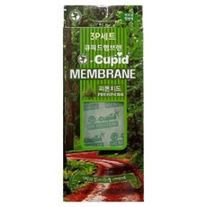 邱比特膜 車用室內芳香劑 3入, 1個, 森林香