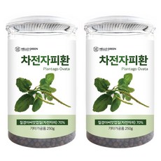 헬로우그린 차전자피환 통, 2개, 250g