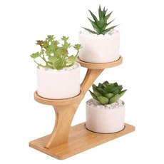 Everight 竹製原木多用途基本款花盆架, 單一顏色, 2層