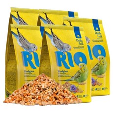 RIO 사랑앵무 잉꼬 모이 21012, 1kg, 5개
