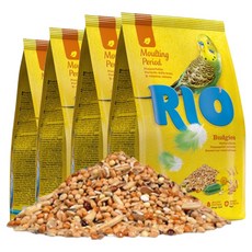 RIO 사랑앵무 잉꼬 새모이 21022, 1kg, 4개