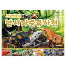 GoodkidsBooks 透過生動寫真學習的兩棲爬蟲圖鑑, 不適用, 內容實驗室