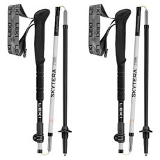 LEKI SkyRider FX Carbon SL Compact 登山杖 65520681, 混合色, 2個