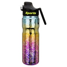 TEMPEST 純鈦保溫運動水壺, 鈦彩色, 1個, 650ml