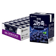 연세유업 고농축주스 30알의 블루베리, 24개, 120ml