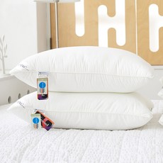 아토앤알로 빨아쓰는 호텔식 마이크로화이바 항균 레귤러 베개솜, 화이트, 2개