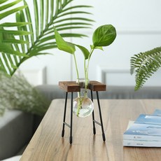 恩熙魔法 清新木框水培植物單朵花瓶, 單一顏色