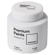 노루페인트 PANTONE 에그쉘광 페인트 11-0601, 브라이트 화이트, 1개, 300ml